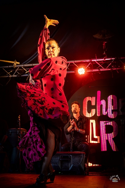 flamenco (81)